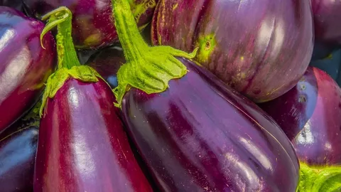تصویر 3 از خرید و قیمت بادمجان دلمه ای بنفش + فروش عمده